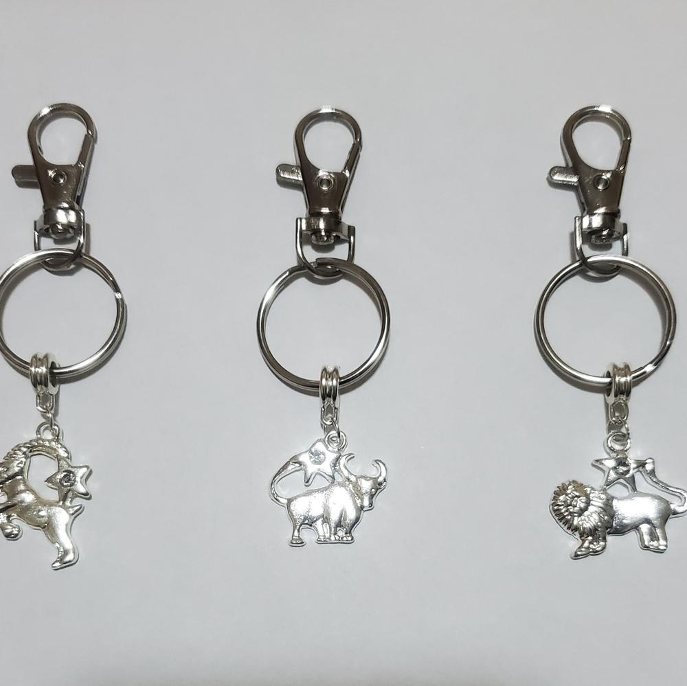 Zodiac Keychain - Picture 3 of 4